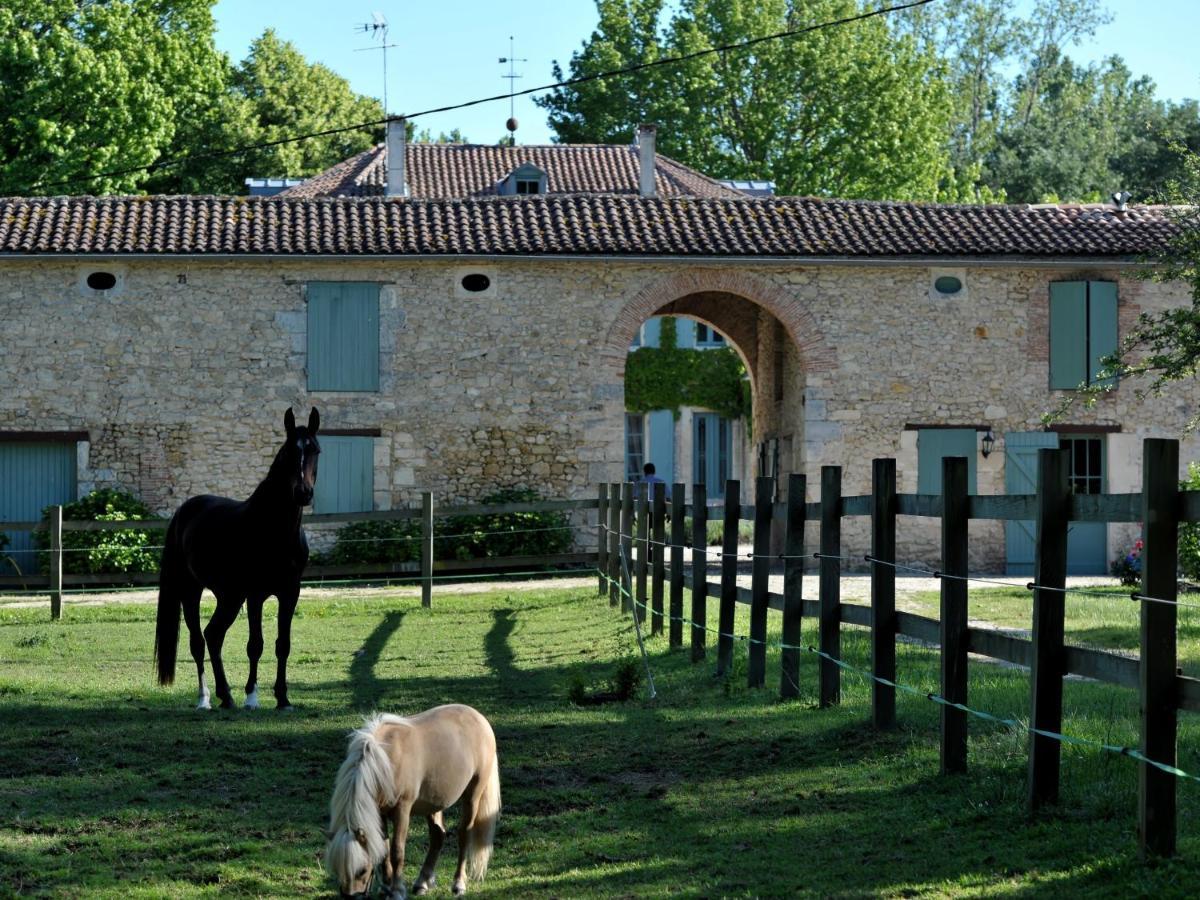 Chateau De L'Isle - Chambres D'Hotes Castelnau-de-Médoc Екстериор снимка